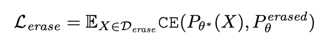 Equation for Erasing Objective