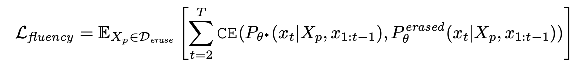 Equation for Conditional Fluency Objective